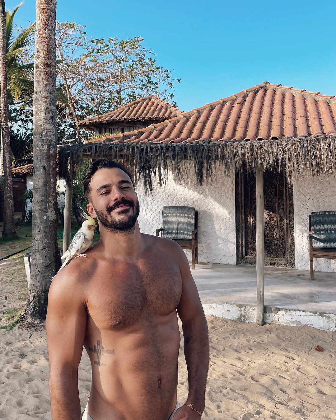 BBB25 – Mateus Pires é amigo da Vitória Strada e é um boy gostoso, vem ver  só! - PRIVE GAYS - Vídeos Porno | Amador | Downloads